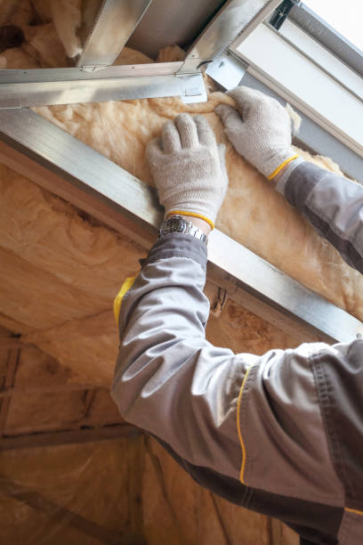 Types of Insulation We Offer in Ewa Gentry, HI